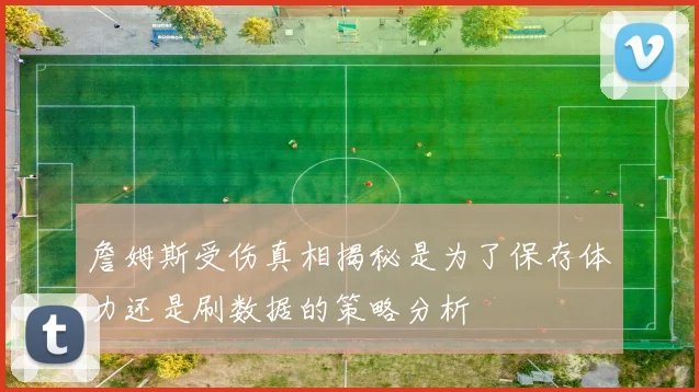 詹姆斯受伤真相揭秘是为了保存体力还是刷数据的策略分析