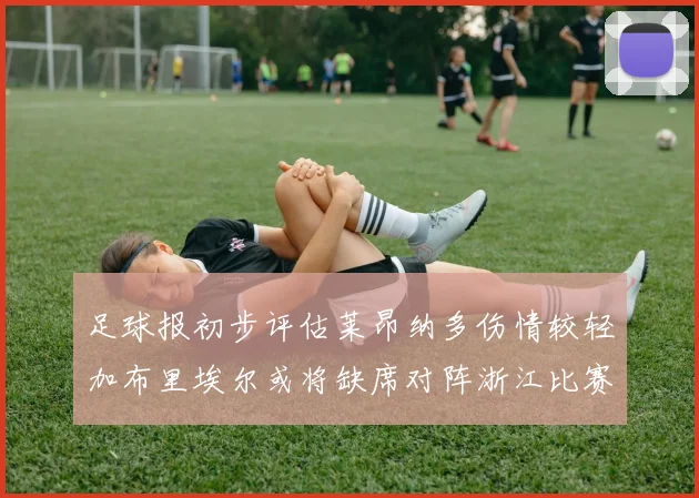足球报初步评估莱昂纳多伤情较轻加布里埃尔或将缺席对阵浙江比赛