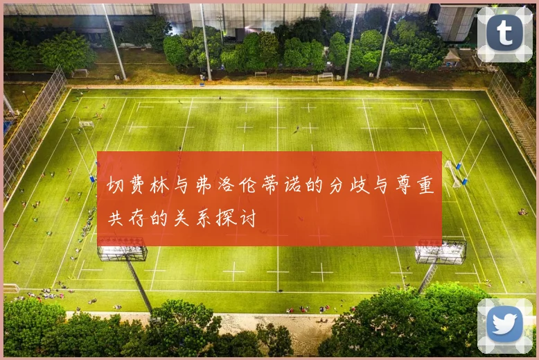 切费林与弗洛伦蒂诺的分歧与尊重共存的关系探讨
