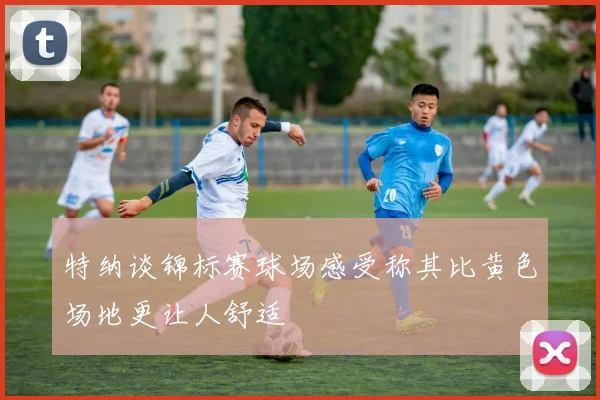 特纳谈锦标赛球场感受称其比黄色场地更让人舒适